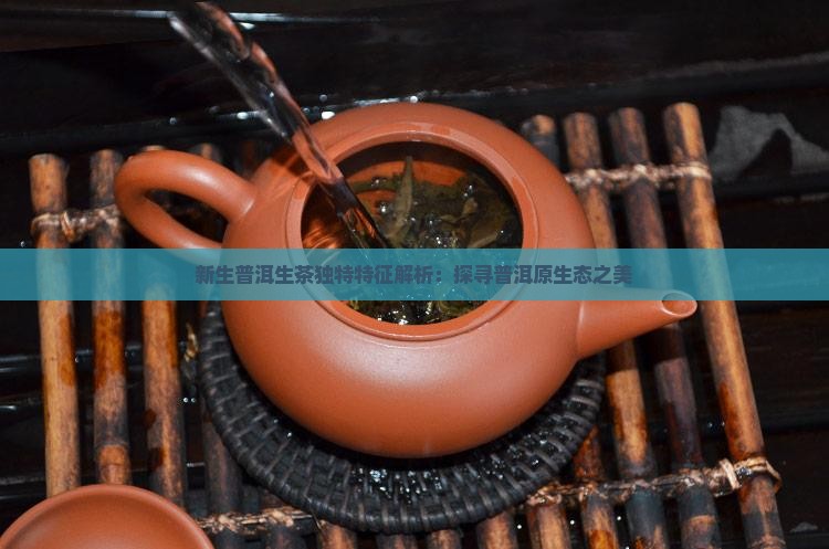 新生普洱生茶独特特征解析：探寻普洱原生态之美