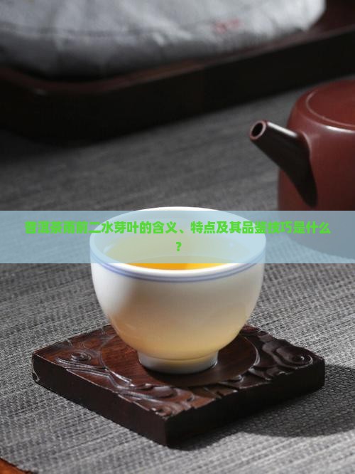 普洱茶雨前二水芽叶的含义、特点及其品鉴技巧是什么？