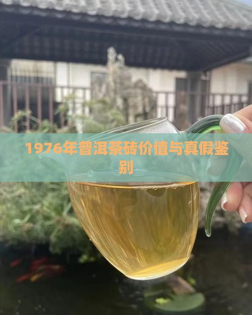 1976年普洱茶砖价值与真假鉴别