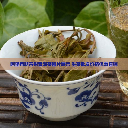 阿里布朗古树普洱茶图片展示 生茶批发价格优惠直销