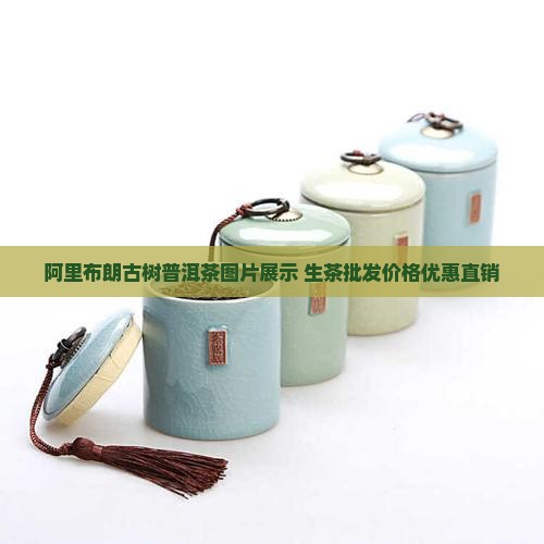 阿里布朗古树普洱茶图片展示 生茶批发价格优惠直销
