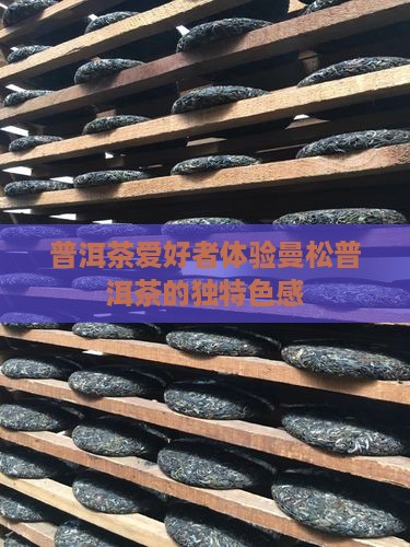 普洱茶爱好者体验曼松普洱茶的独特色感