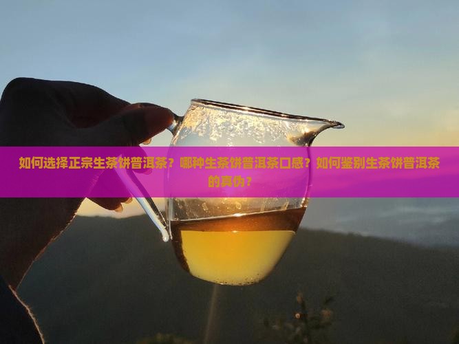 如何选择正宗生茶饼普洱茶？哪种生茶饼普洱茶口感？如何鉴别生茶饼普洱茶的真伪？