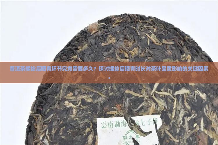 普洱茶揉捻后晒青环节究竟需要多久？探讨揉捻后晒青时长对茶叶品质影响的关键因素。