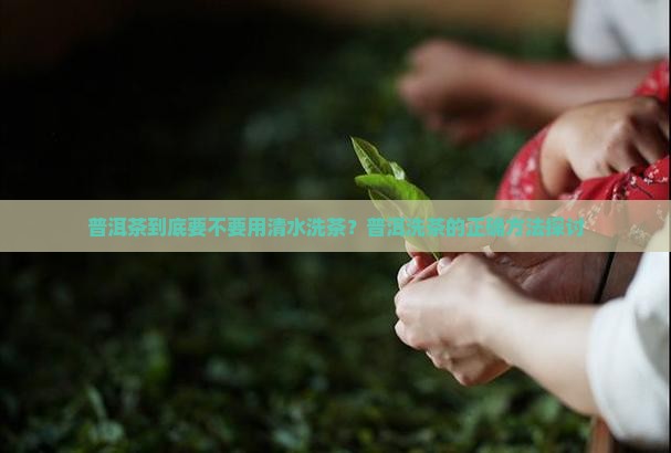 普洱茶到底要不要用清水洗茶？普洱洗茶的正确方法探讨