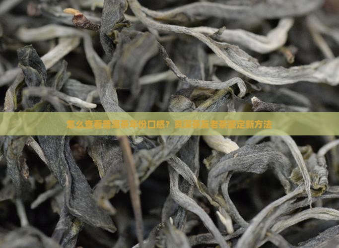 怎么查看普洱茶年份口感？资深茶友老茶鉴定新方法