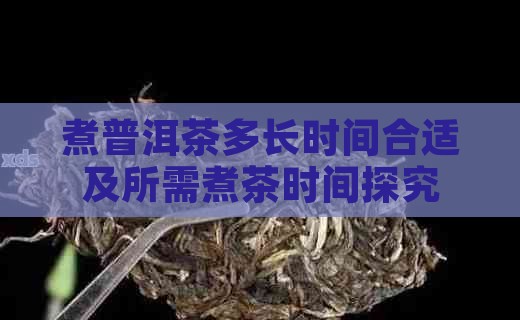 煮普洱茶多长时间合适及所需煮茶时间探究