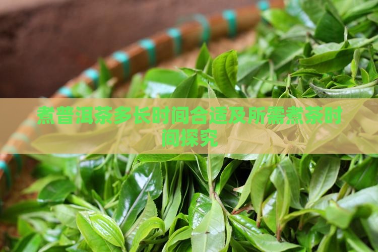 煮普洱茶多长时间合适及所需煮茶时间探究