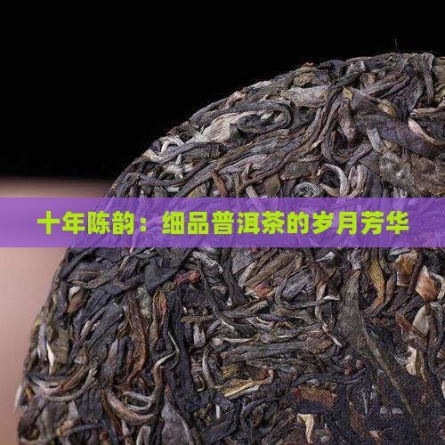 十年陈韵：细品普洱茶的岁月芳华
