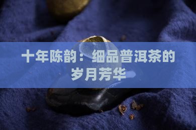 十年陈韵：细品普洱茶的岁月芳华