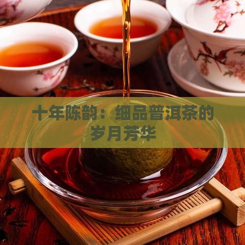 十年陈韵：细品普洱茶的岁月芳华