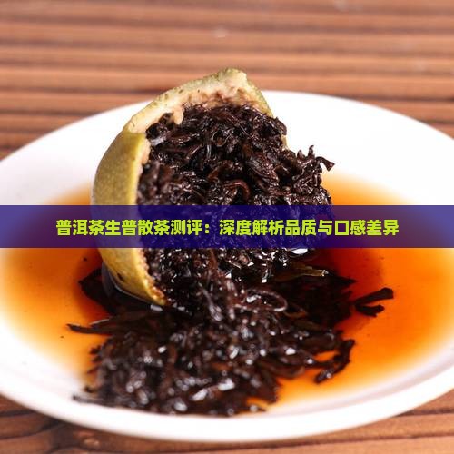 普洱茶生普散茶测评：深度解析品质与口感差异