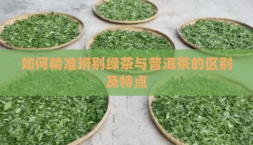 如何精准辨别绿茶与普洱茶的区别及特点