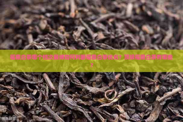 福鼎白茶哪个档次最缚如何判断福鼎白茶优劣？顶级福鼎白茶有哪些？