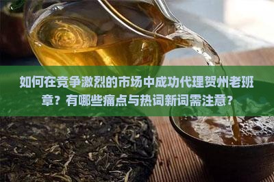 如何在竞争激烈的市场中成功代理贺州老班章？有哪些痛点与热词新词需注意？