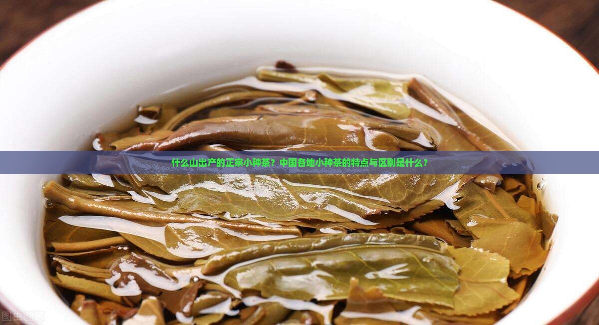 什么山出产的正宗小种茶？中国各地小种茶的特点与区别是什么？