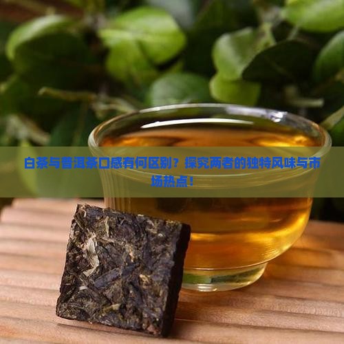 白茶与普洱茶口感有何区别？探究两者的独特风味与市场热点！