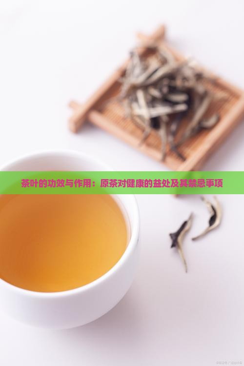 茶叶的功效与作用：原茶对健康的益处及其禁忌事项