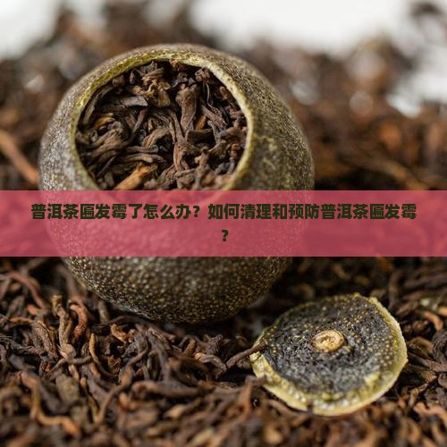 普洱茶匾发霉了怎么办？如何清理和预防普洱茶匾发霉？