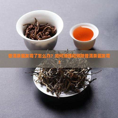 普洱茶匾发霉了怎么办？如何清理和预防普洱茶匾发霉？
