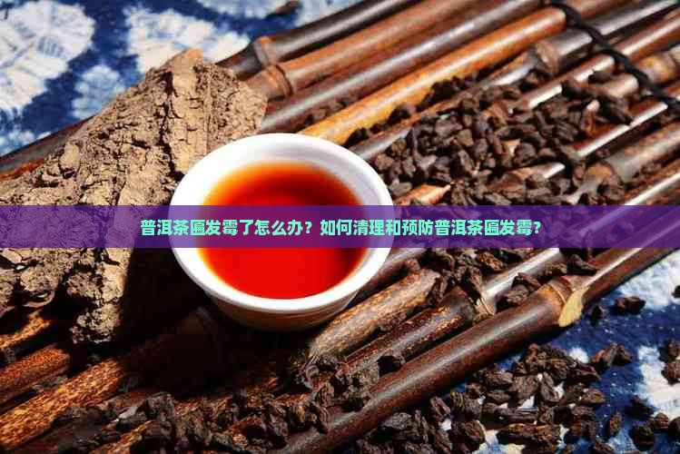 普洱茶匾发霉了怎么办？如何清理和预防普洱茶匾发霉？