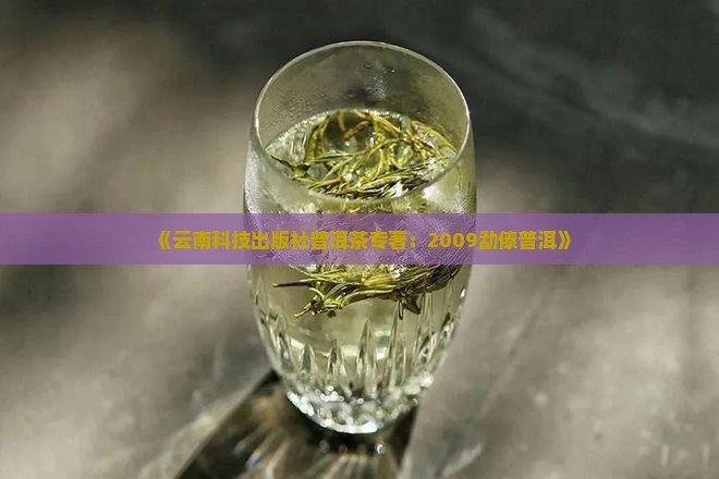 《云南科技出版社普洱茶专著：2009勐傣普洱》