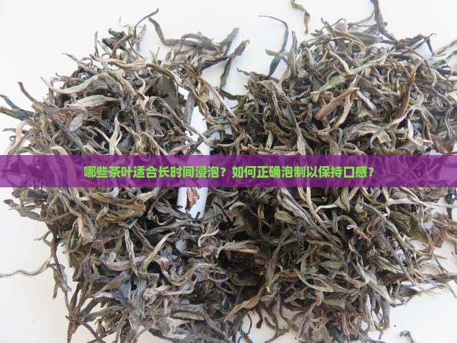 哪些茶叶适合长时间浸泡?如何正确泡制以保持口感? 哪些茶叶适合长时间浸泡?如何正确泡制以保持口感?