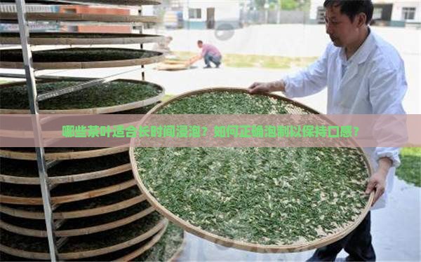 哪些茶叶适合长时间浸泡?如何正确泡制以保持口感? 哪些茶叶适合长时间浸泡?如何正确泡制以保持口感?