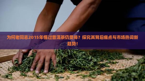 为何老同志2015年懂过普洱茶仍受捧？探究其背后痛点与市场热词新趋势！