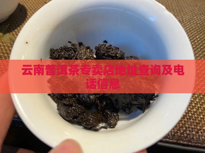 云南普洱茶专卖店地址查询及电话信息