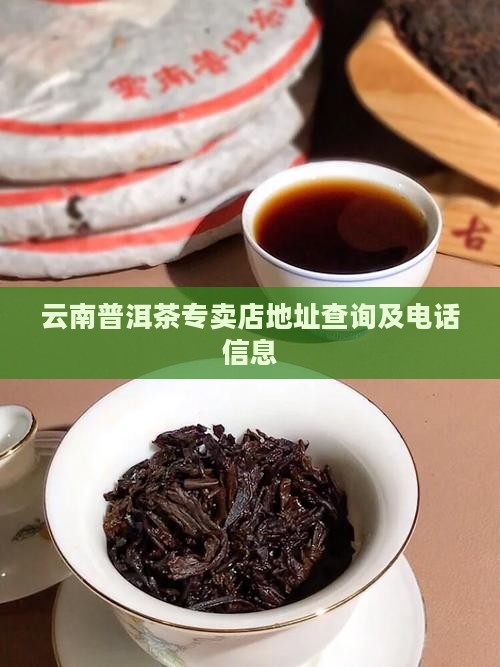 云南普洱茶专卖店地址查询及电话信息