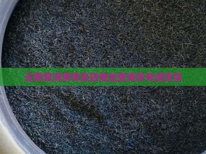 云南普洱茶专卖店地址查询及电话信息