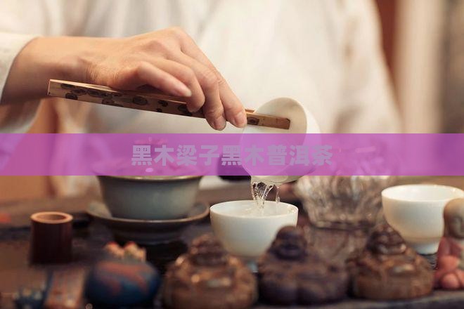 黑木梁子黑木普洱茶 黑木梁子黑木普洱茶