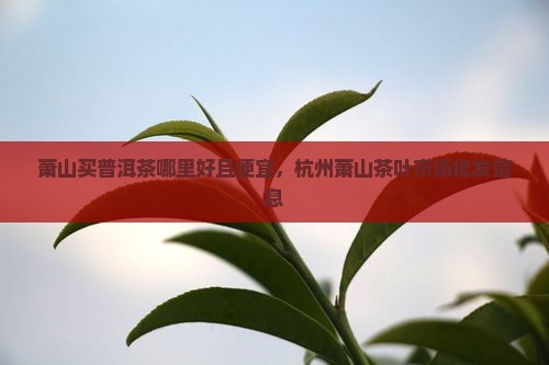 萧山买普洱茶哪里好且便宜，杭州萧山茶叶市场批发信息