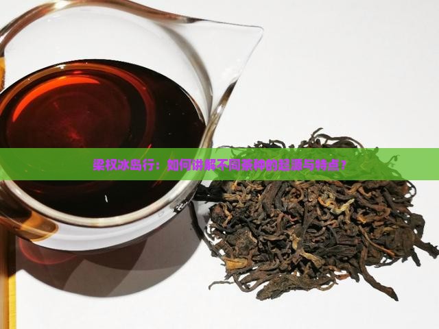 梁权冰岛行:如何讲解不同茶种的起源与特点? 梁权冰岛行:如何讲解不同茶种的起源与特点?