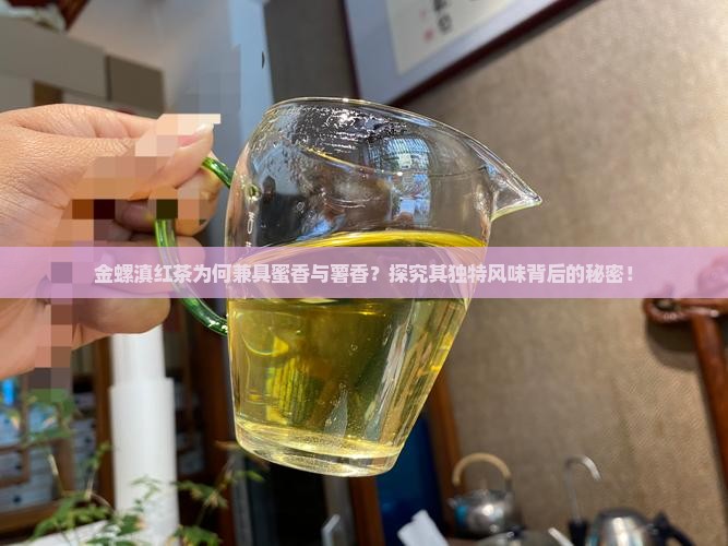 金螺滇红茶为何兼具蜜香与薯香?探究其独特风味背后的秘密! 金螺滇红茶为何兼具蜜香与薯香?探究其独特风味背后的秘密!