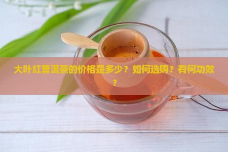 大叶红普洱茶的价格是多少？如何选购？有何功效？