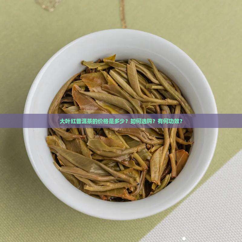 大叶红普洱茶的价格是多少？如何选购？有何功效？