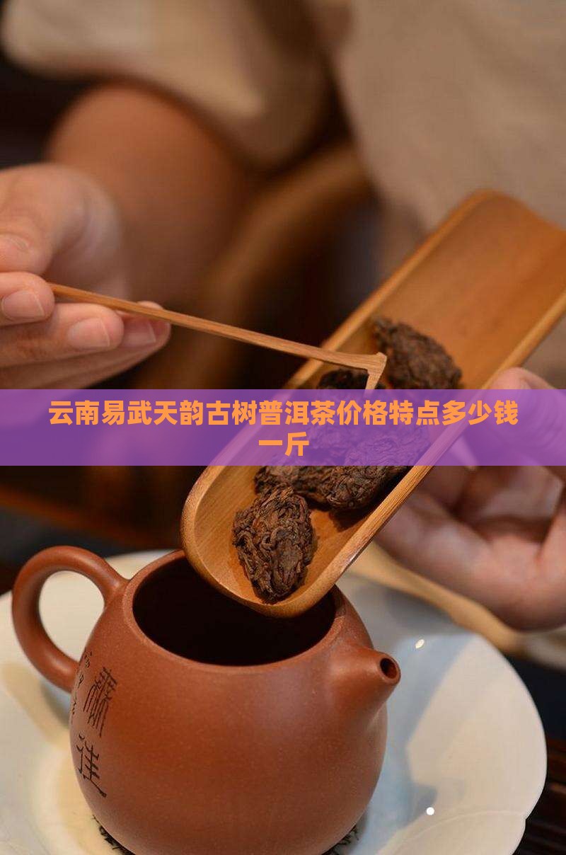 云南易武天韵古树普洱茶价格特点多少钱一斤