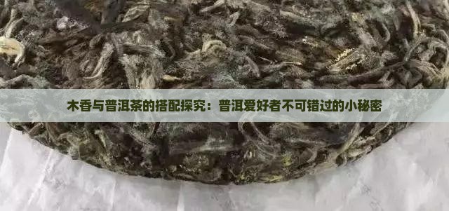 木香与普洱茶的搭配探究：普洱爱好者不可错过的小秘密