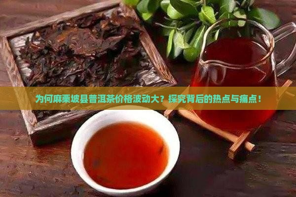 为何麻栗坡县普洱茶价格波动大？探究背后的热点与痛点！