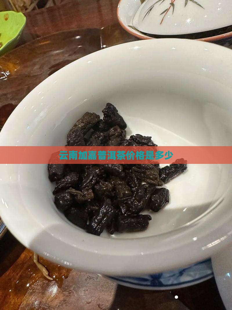 云南加嘉普洱茶价格是多少