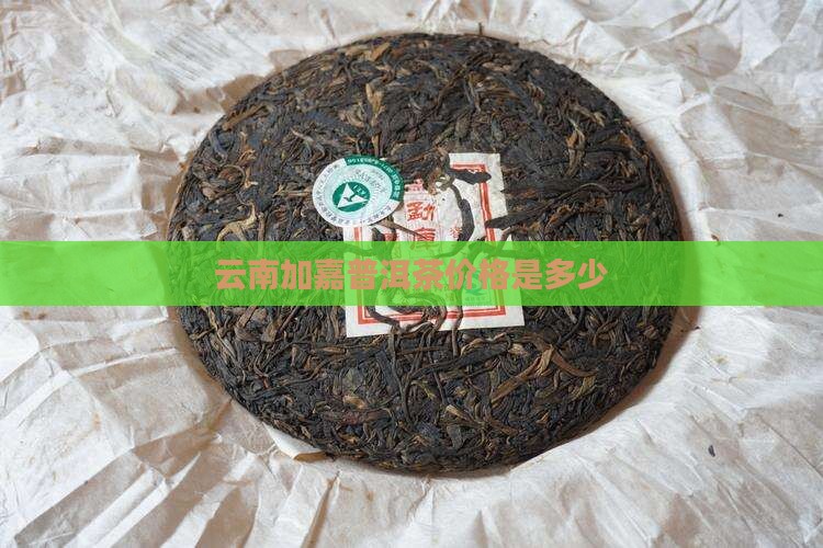 云南加嘉普洱茶价格是多少