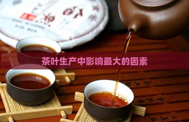 茶叶生产中影响最大的因素