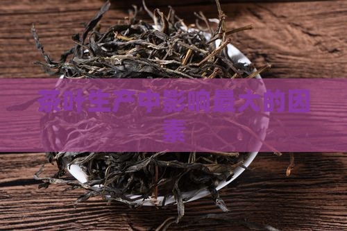 茶叶生产中影响最大的因素