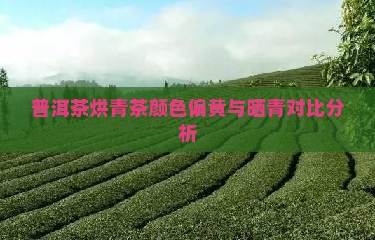 普洱茶烘青茶颜色偏黄与晒青对比分析