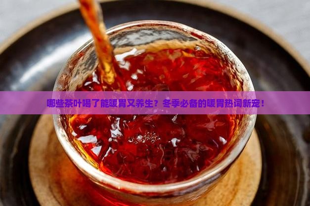 哪些茶叶喝了能暖胃又养生？冬季必备的暖胃热词新宠！