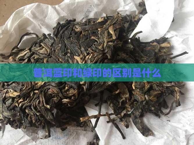 普洱蓝印和绿印的区别是什么