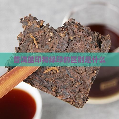普洱蓝印和绿印的区别是什么