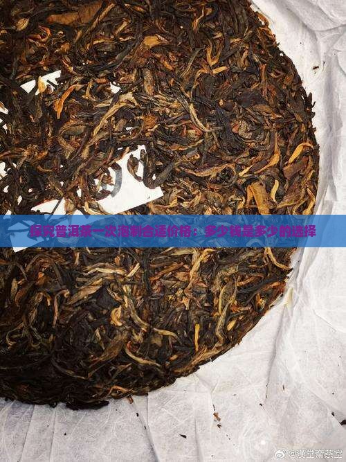 探究普洱茶一次泡制合适价格：多少钱是多少的选择
